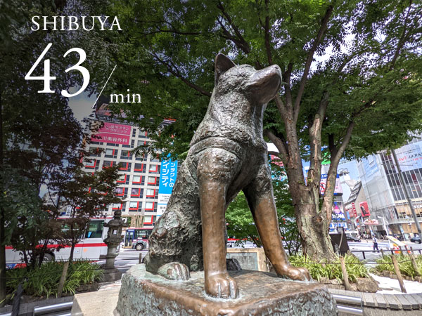 渋谷